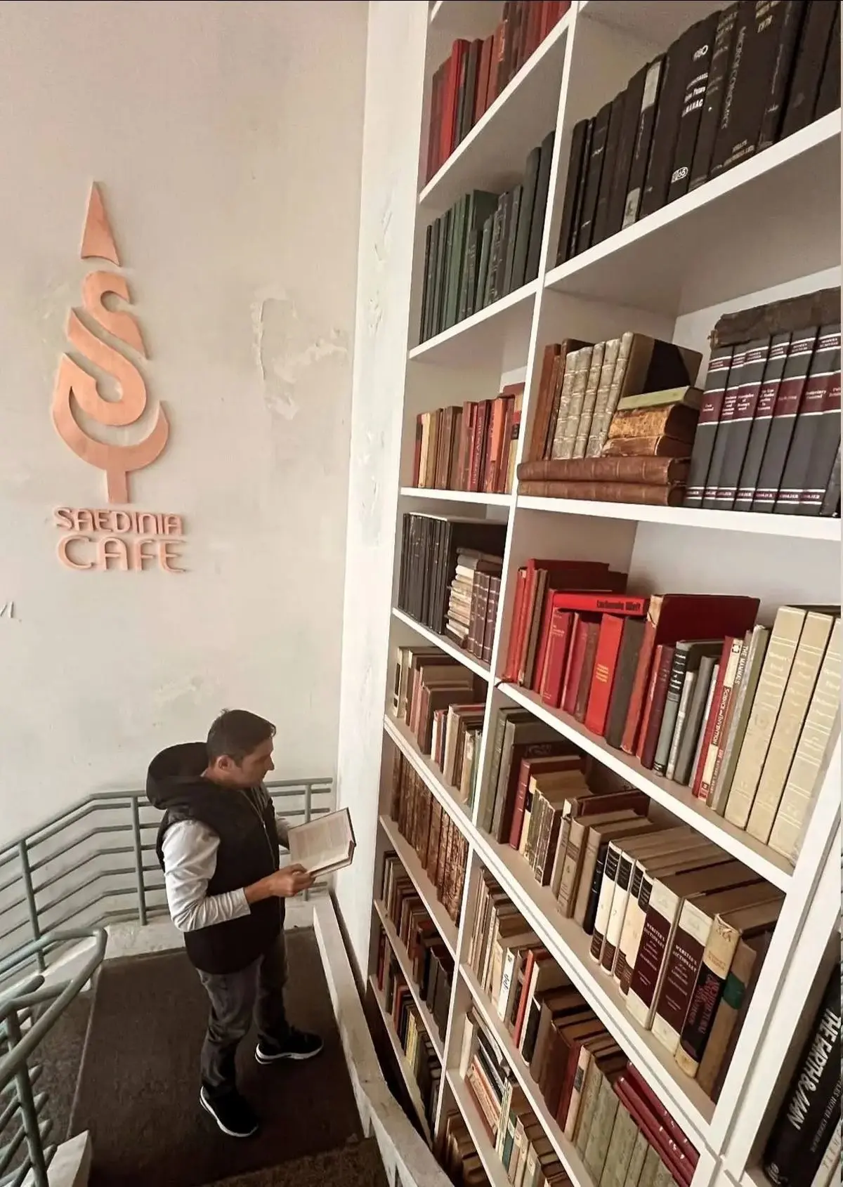 وحید هاشمیان