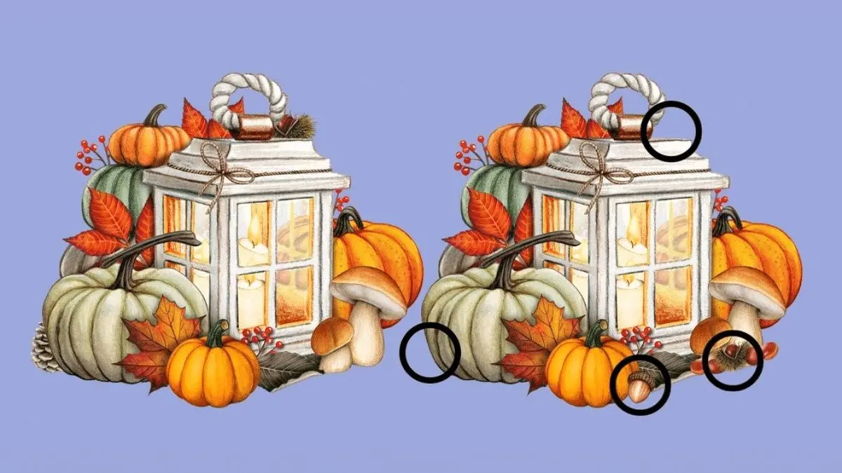 پاسخ-تفاوت-تصویری-فانوس-شمعی-با-تزئینات-پاییزی