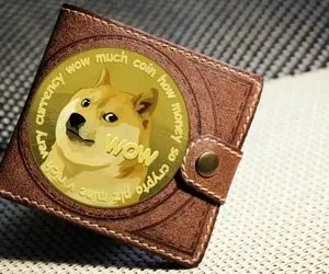 زیانی که دوج کوین یه شبه به کاربران زد؟!