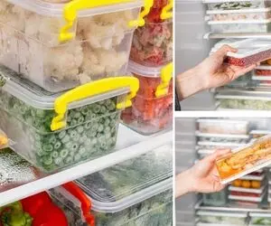 اصول فریز کردن مواد غذایی / از گوشت و مرغ تا سبزیجات و میوه همرو اشتباه فریز میکردیم