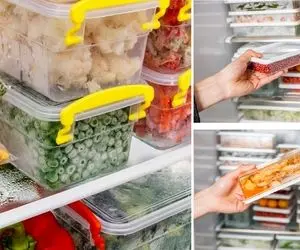 اصول فریز کردن مواد غذایی / از گوشت و مرغ تا سبزیجات و میوه همرو اشتباه فریز میکردیم