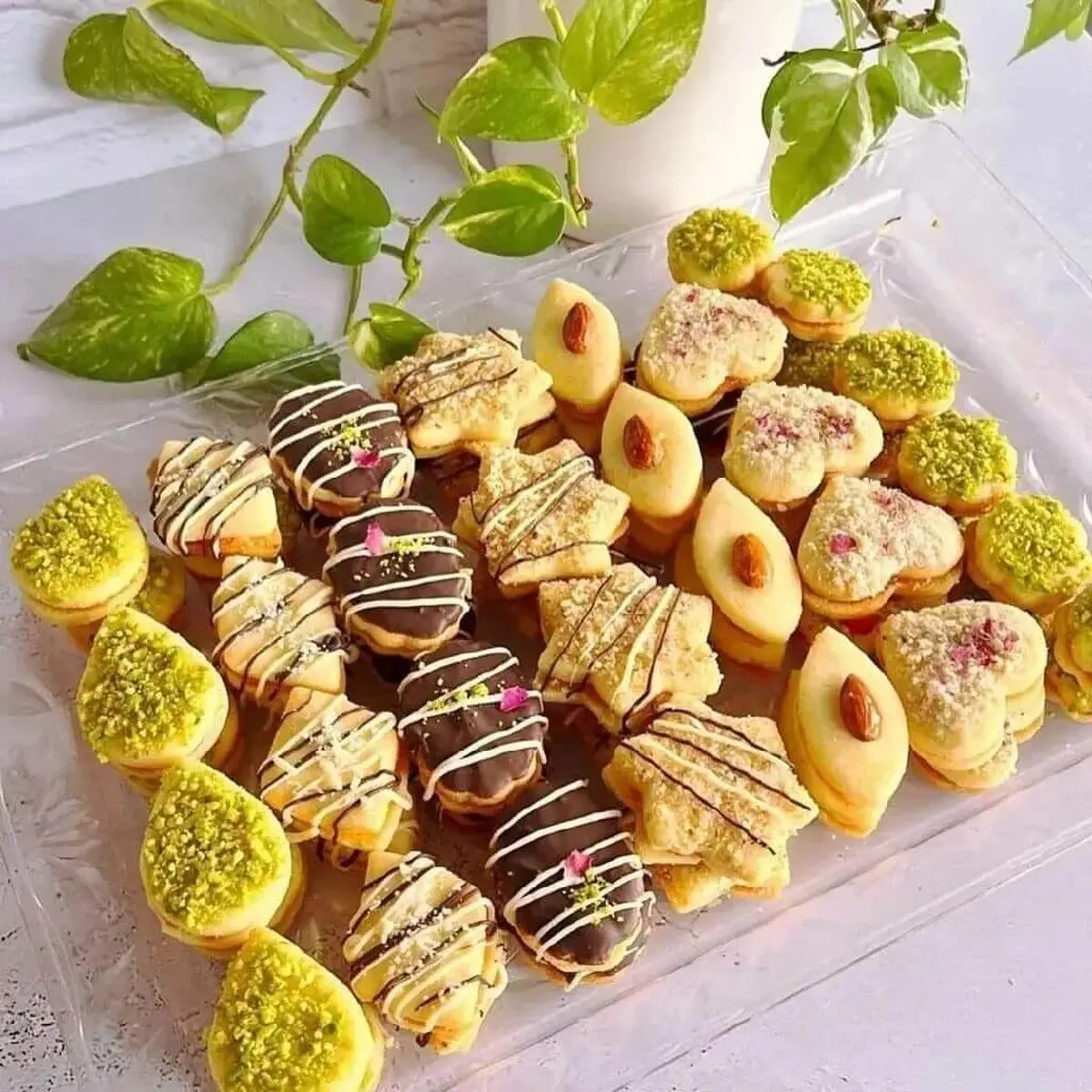 shirinimashhadi2