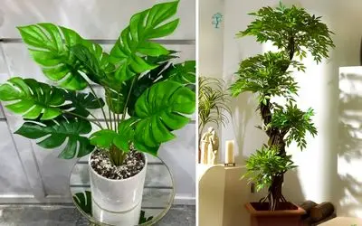 نسل جدید گیاه مصنوعی؛ دیزاین زیبای فضا با گل آپارتمانی بدون دغدغه خشک شدن و نگهداریش