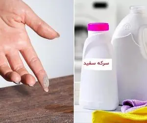 راه ساده مقابله با گرد و خاک تو خونه / دلیل این که خونه بعضیا از تمیزی برق میزنه اینه