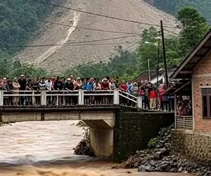 معماری طبیعت؛ رفتن رو پل که از منظره لذت ببرن نمیدونستن آخرین صحنه ی عمرشون میشه
