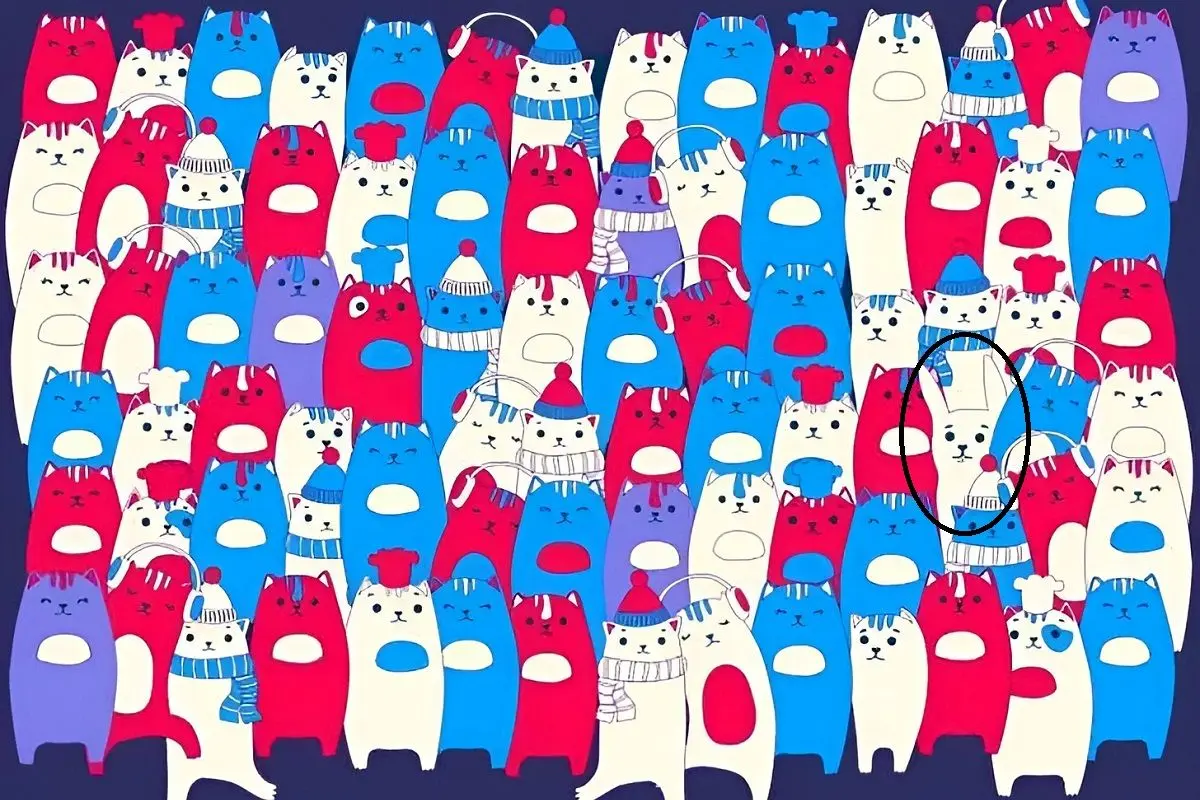 پاسخ-تست-بینایی-یافتن-خرگوش-میان-گربه-ها