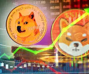 دوج کوین یا شیبااینو کدامیک برنده این عرصه خواهندشد؟