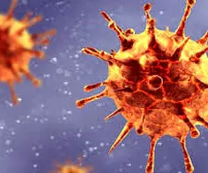 کرونا جهش یافته به ترکیه رسید ؛ پای کرونا جدید به ایران هم باز می شود؟