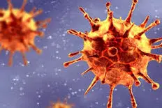 کرونا جهش یافته به ترکیه رسید ؛ پای کرونا جدید به ایران هم باز می شود؟