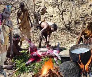 جنگجویان طبیعت؛ بربرهای برهنه آنتلوپ هارو پوست کندن گوشتو استخونشو پختن خوردن