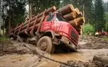 جا به جایی جانکاه؛ کامیون ها تا کمر تو گل گیر میکنن تا چوب هارو از جنگل ببرن کارخانه