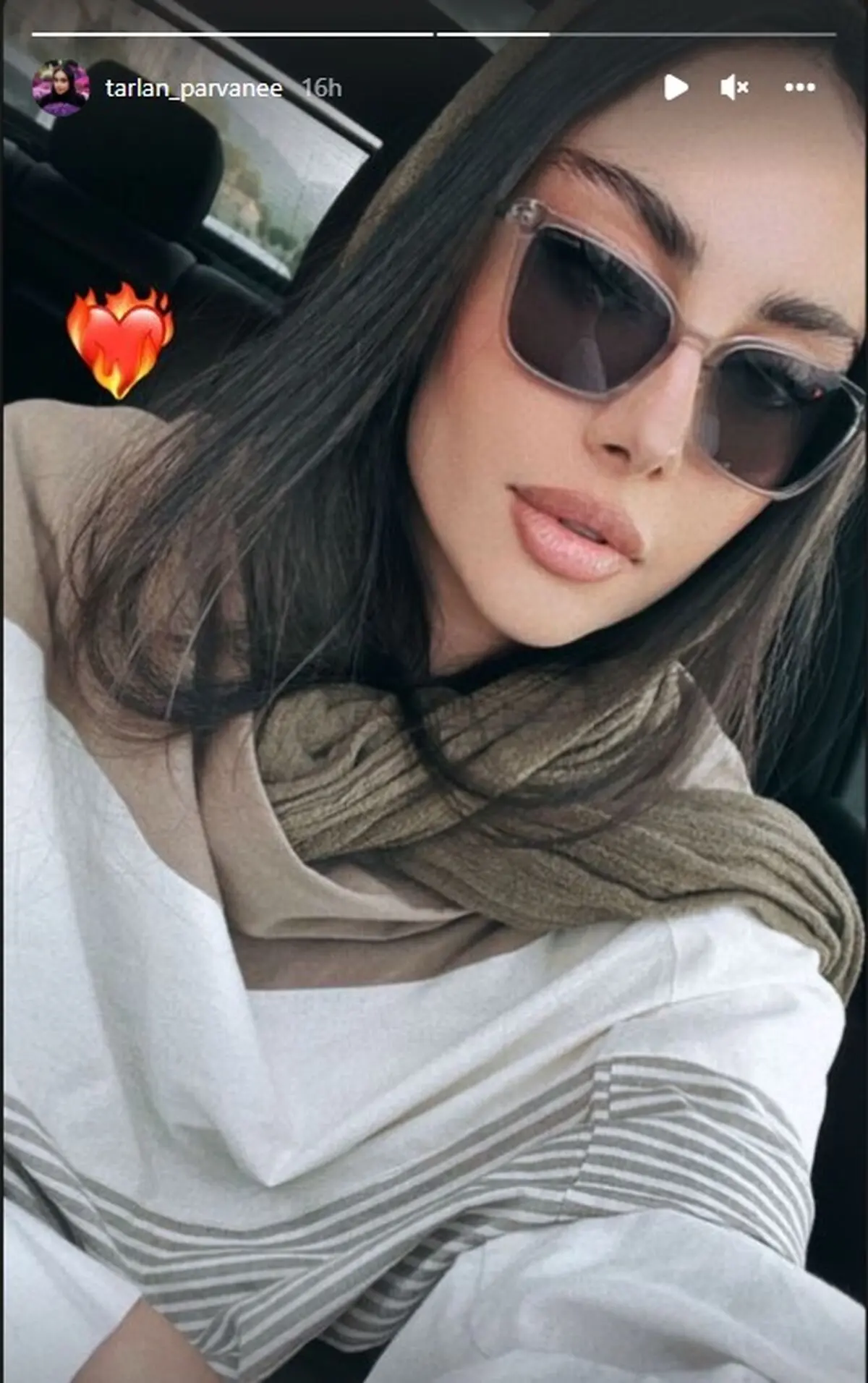 ترلان پروانه
