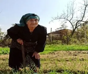 آواز جگرسوز؛ ننه گیلانی تو تلویزیون جوری سینه سوز خوند از غمش قلبت فریزر میشه یخه یخ