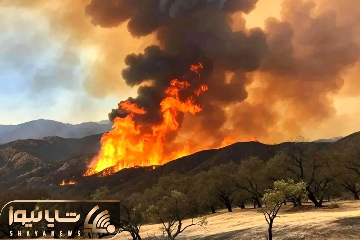 جزئیات تازه از آتش‌سوزی قله دماوند