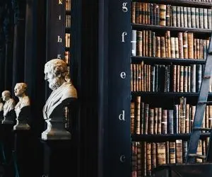 پنج کتاب تاریخی که با زبانی ساده میبرنت به سده ها و هزاره های گذشته؛ تاریخ در دل ادبیات