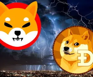 پیش بینی مهم از قیمت دوج کوین  و شیبااینو!