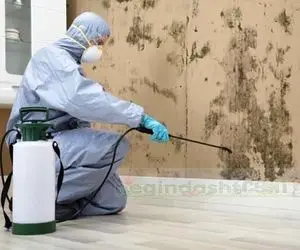 کپک سیاه چیست و چه ارتباطی با کرونا دارد؟