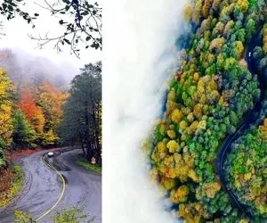 عشق ماشینی و دوست داری بزنی به جاده؟ با این پنج جاده یه برنامه سفری تکرار نشدنی بچین