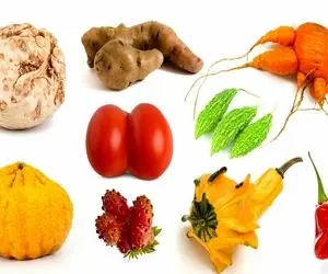 کشاورزی نوین؛ شکل واقعی میوه ها قبل از این که انسان ژنشونو تغییر بده، چقد بد ریختن