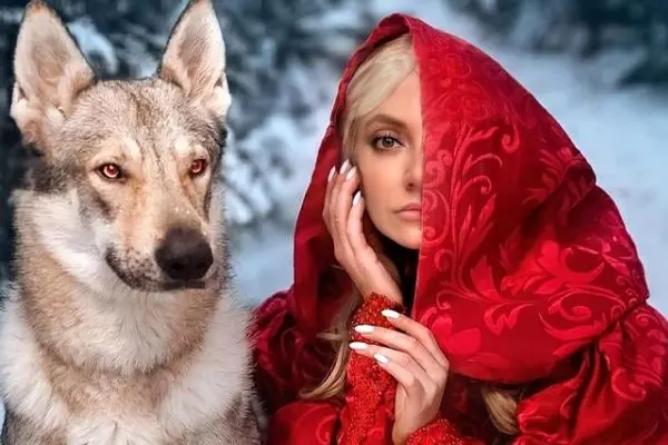 mahnaz afshar shayanews