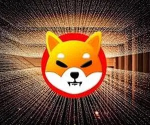 تیم شیبااینو خبرای خوبی برای کاربران دارن!!