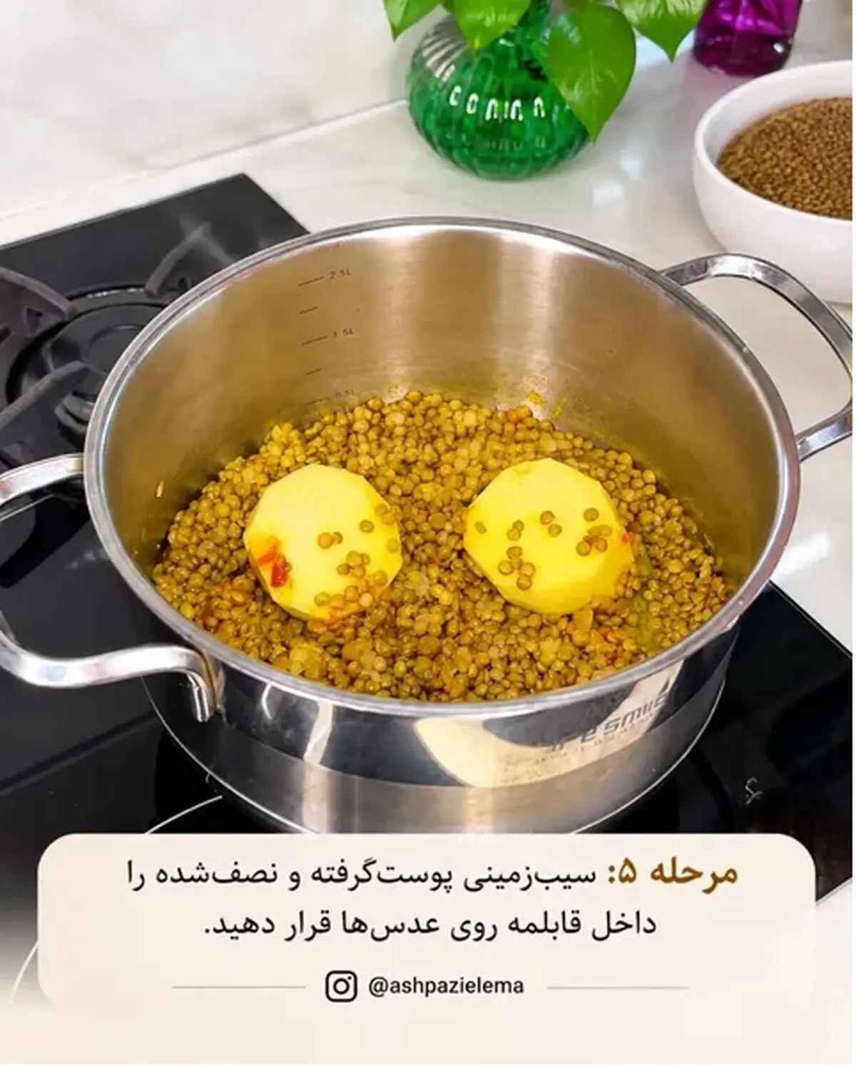 عدسی 5