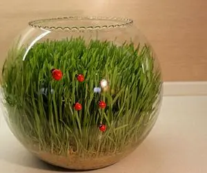 ایده های خلاقانه؛ امسال سبزه عید رو جای بشقاب تو تنگ بذار خیلی خوشگل تر میشه