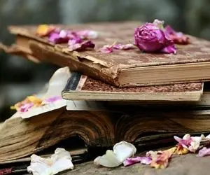 داستان شب: میخوای با یه قصه از مُشتی غصه رها شی؟ اینو بخونی ته فیلسوف میشی بی بروبرگرد!