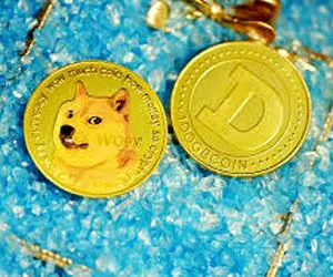 پیش بینی بسیار مهم از دوج کوین؟!