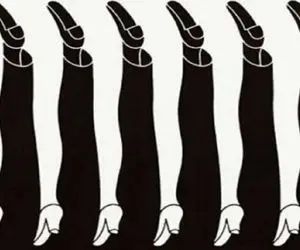 تست روانشناسی تصویری؛ بگو تو تصویر چی دیدی تا زیر و بمت رو چنان بریزیم بیرون که کُپ کنی