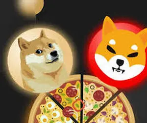 شیبااینو و دوج کوین مرتکب جرم شدند؟!