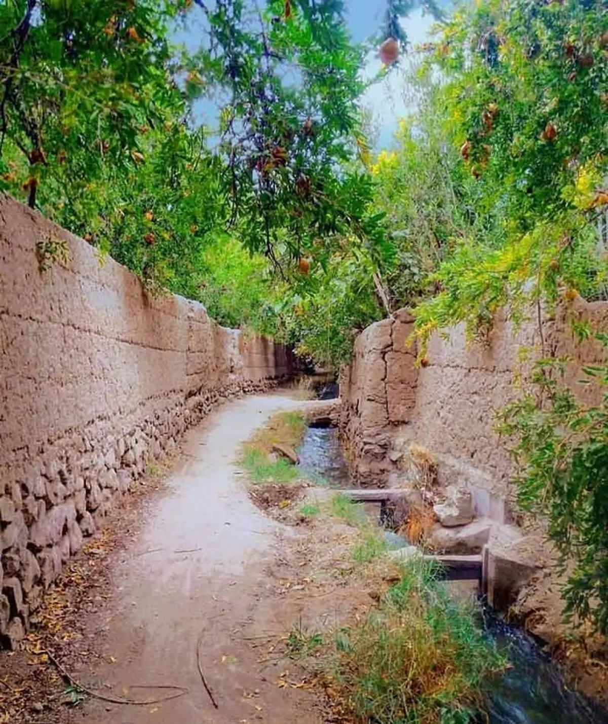 پاییز شهر تفت
