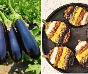 طرز تهیه کشک و بادمجان خیلی خوشمزه / طعم عالی یه غذای اصیل و سنتی با ظاهری متفاوت