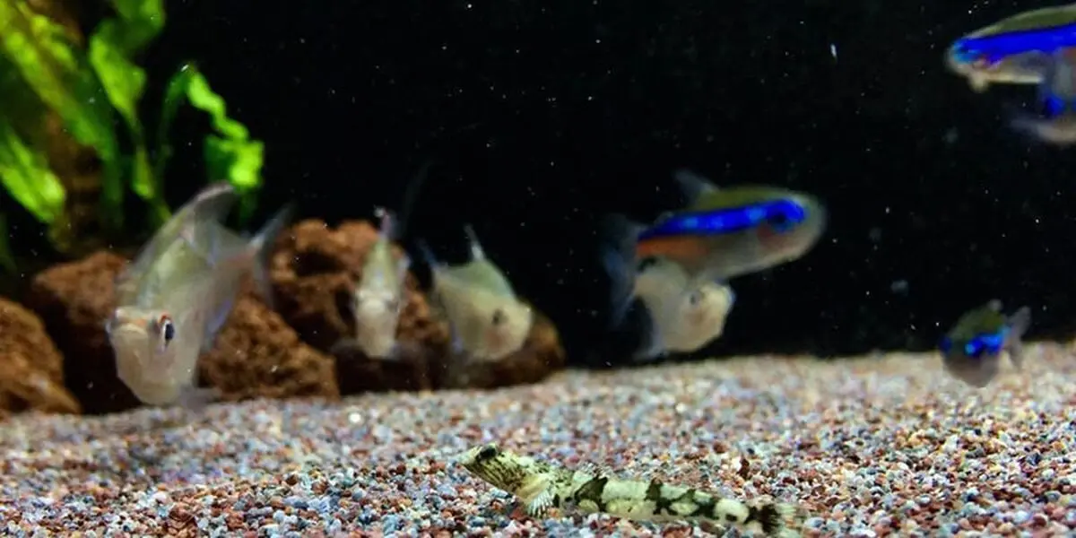 3-3-min-3