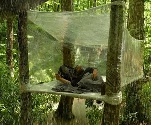 معماری خلاقانه؛ تو اعماق جنگل 5 بسته سلفون و دور درخت پیچید خونه ساخت تا گرگ نخورتش