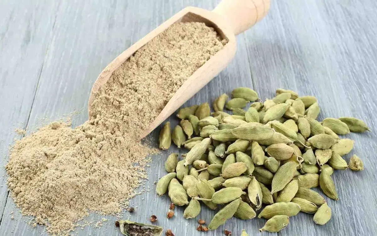 cardamom-properties-01
