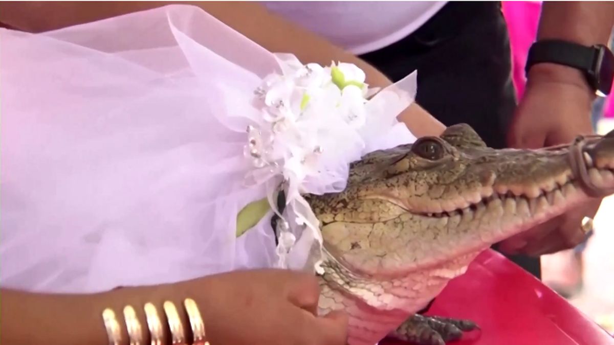 Screenshot-2022-07-02-at-01-33-35-In-age-old-ritual-Mexican-mayor-weds-alligator-to-secure-abundance