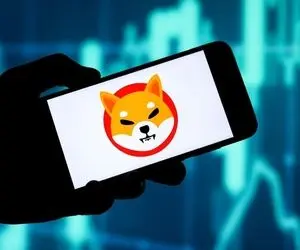 سیگنالی که اگه شیبااینو بهش برسه نابود میشه!