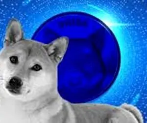 برای شیبااینو رالی در راه است؟!