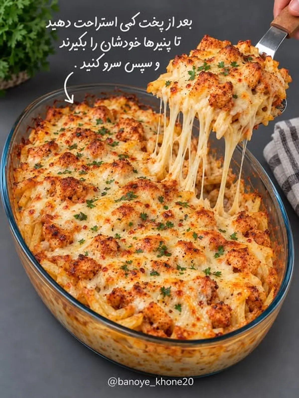 گراتن مرغ 10