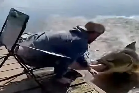 معماری طبیعت؛ مرده اومد ماهی بگیره ماهی اونو گرفت برد ته آب زنش چه زار میزنه