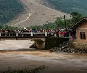 معماری طبیعت؛ مرد رو پل هوتوتو شدن