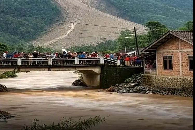 معماری طبیعت؛ مرد رو پل هوتوتو شدن