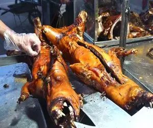 کباب سگ؛ بعد مرینیت سگ رو ذغال بریونیش میکنن اسلایس شده با سس بشامل میفروشن