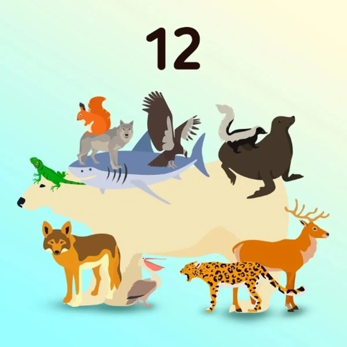 12