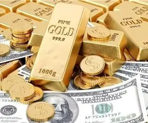 طلا و دلار هنوز هم ابزار پوشش ریسک هستند؟ / بررسی چالش‌های نوین سرمایه‌گذاری در ایران