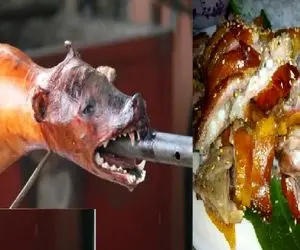 کباب سگ؛ سگ سفید نازنازی و جوشوند به چهار میخ کشید  پوست کند اسلایسی سرو کرد