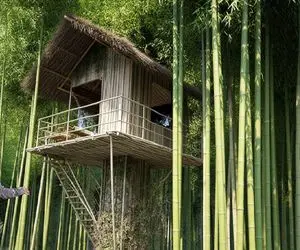 معماری خلاقانه؛ ساخت خانه چوبی بر بلندای بلندترین بامبو جنگل با تجهیزات کامل
