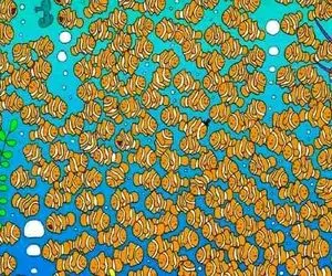 بازی فکری؛ بین 1800000 میلیون دلار نمو لقک ماهی، ماهی قرمز رو پیدا کن