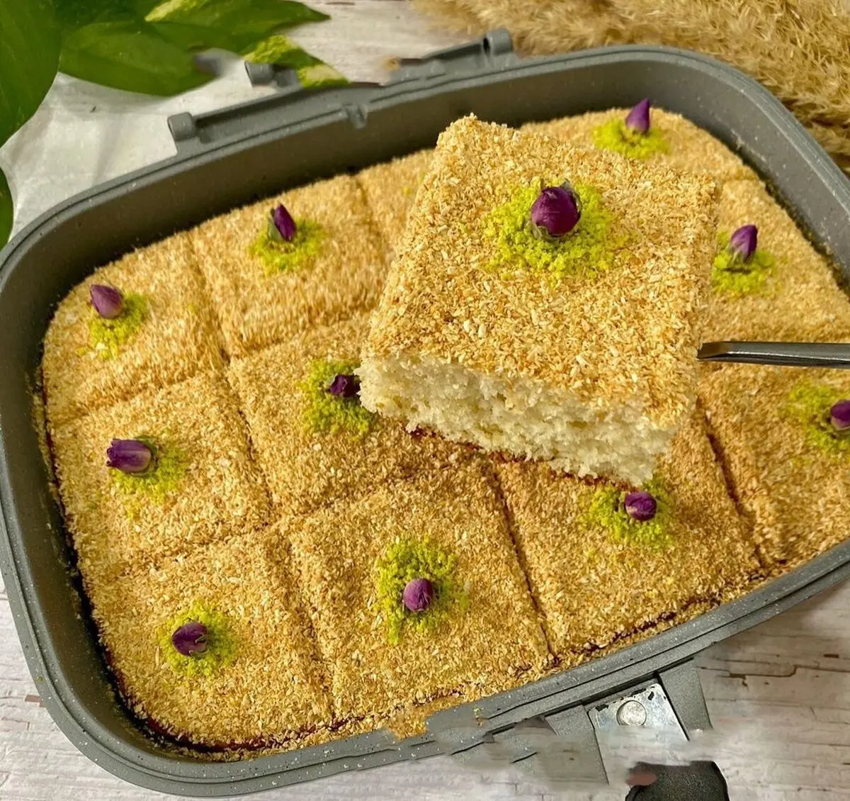 Sheni-Cake_3